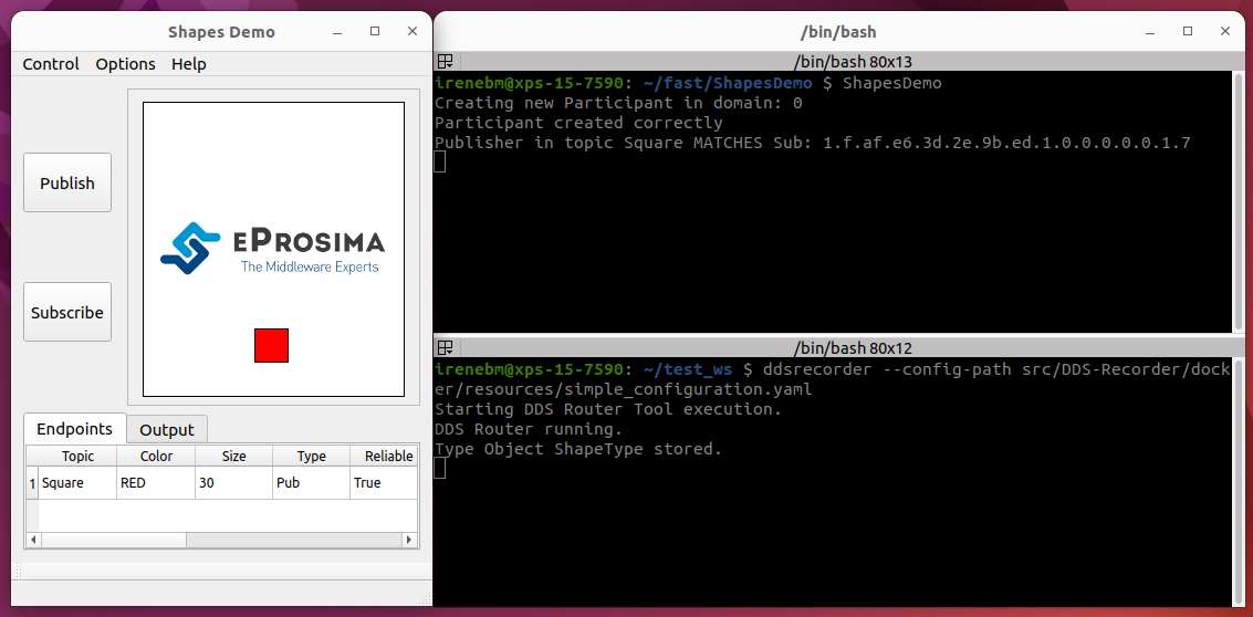 ../../../_images/shapesdemo_exec.png